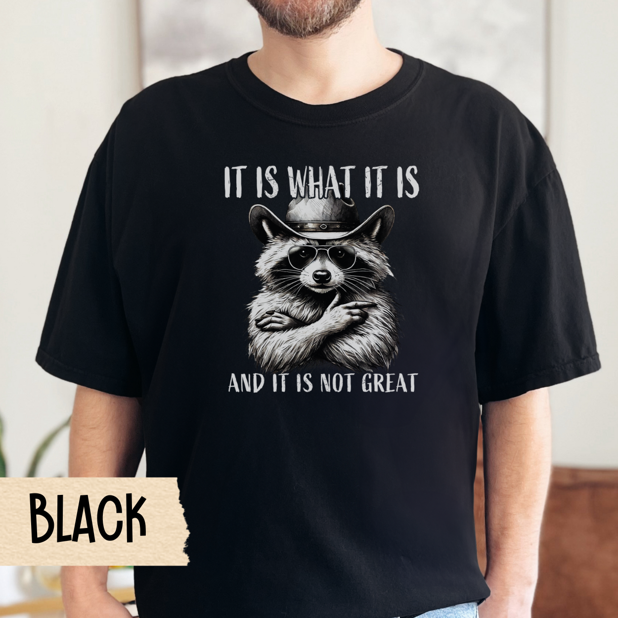 It is what it is t-shirt, funny raccoon shirt, mental health tee, sarcastic tshirt, Comfort Colors graphic, relatable humor, gift for her