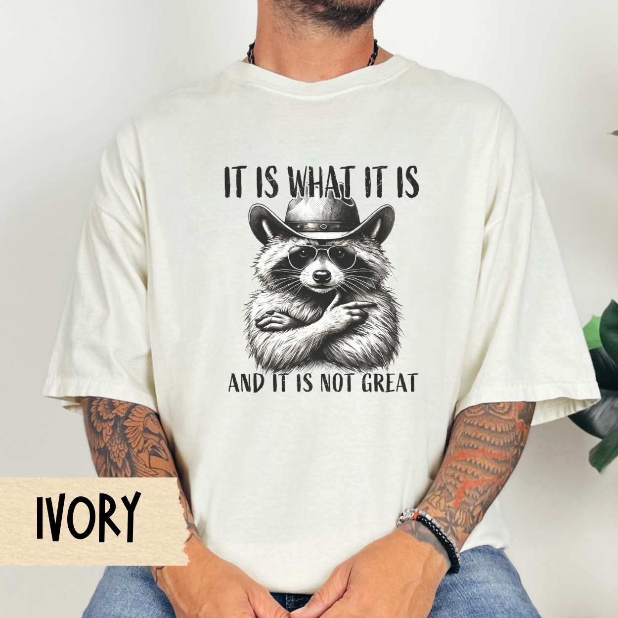 It is what it is t-shirt, funny raccoon shirt, mental health tee, sarcastic tshirt, Comfort Colors graphic, relatable humor, gift for her