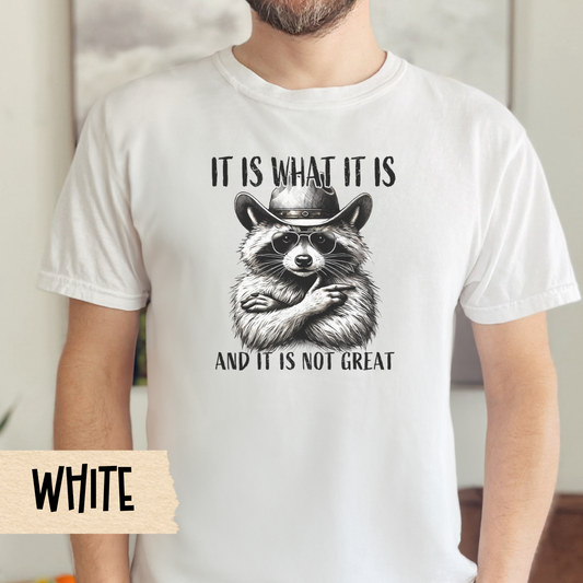 It is what it is t-shirt, funny raccoon shirt, mental health tee, sarcastic tshirt, Comfort Colors graphic, relatable humor, gift for her
