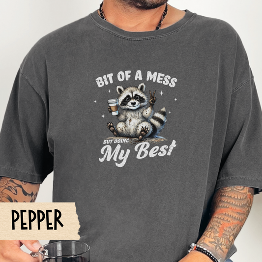 Bit of a mess t-shirt, funny raccoon shirt, mental health tee, doing my best tshirt, Comfort Colors graphic tee, self care, gift for her