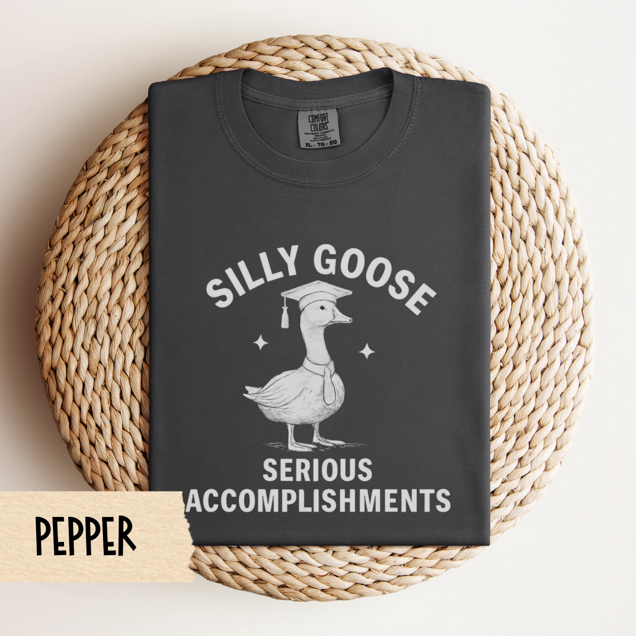 Funny Graduation Shirt 2025, Comfort Colors Tee, Silly Goose Grad Gift, Senior Graduation Outfit 2026, College High School Graduate Shirt