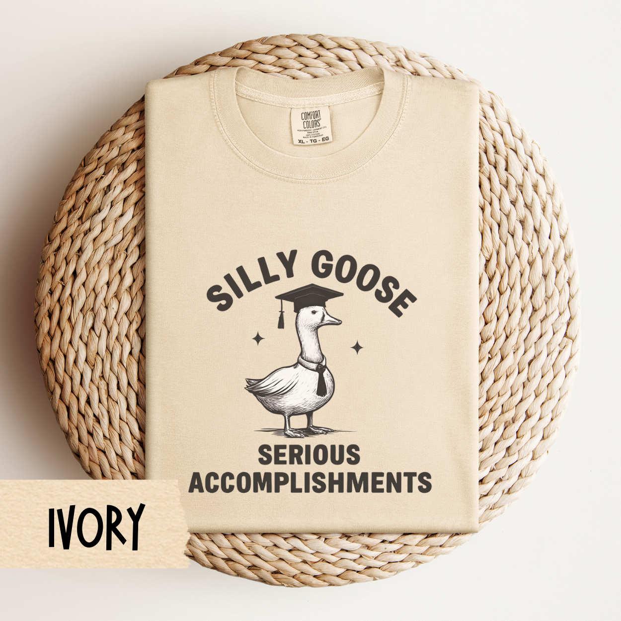Funny Graduation Shirt 2025, Comfort Colors Tee, Silly Goose Grad Gift, Senior Graduation Outfit 2026, College High School Graduate Shirt