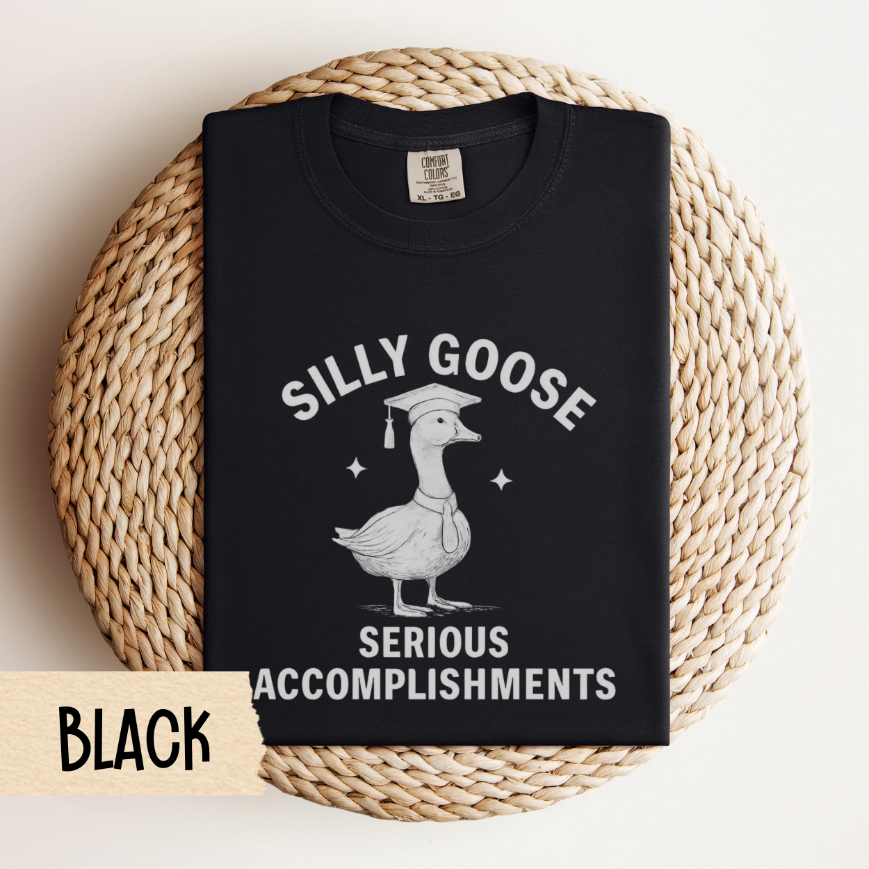 Funny Graduation Shirt 2025, Comfort Colors Tee, Silly Goose Grad Gift, Senior Graduation Outfit 2026, College High School Graduate Shirt