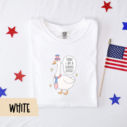 Serious goose shirt, funny 4th of July tee, patriotic goose shirt, comfort colors shirt, quirky USA shirt, red white blue outfit, July 4