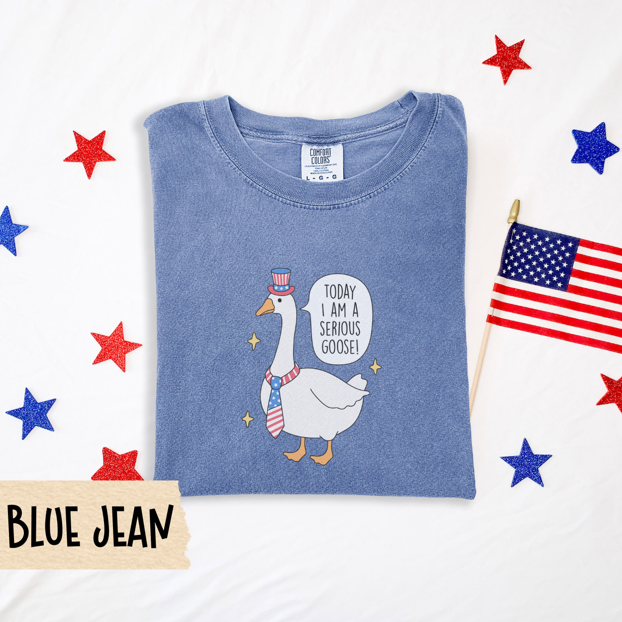 Serious goose shirt, funny 4th of July tee, patriotic goose shirt, comfort colors shirt, quirky USA shirt, red white blue outfit, July 4