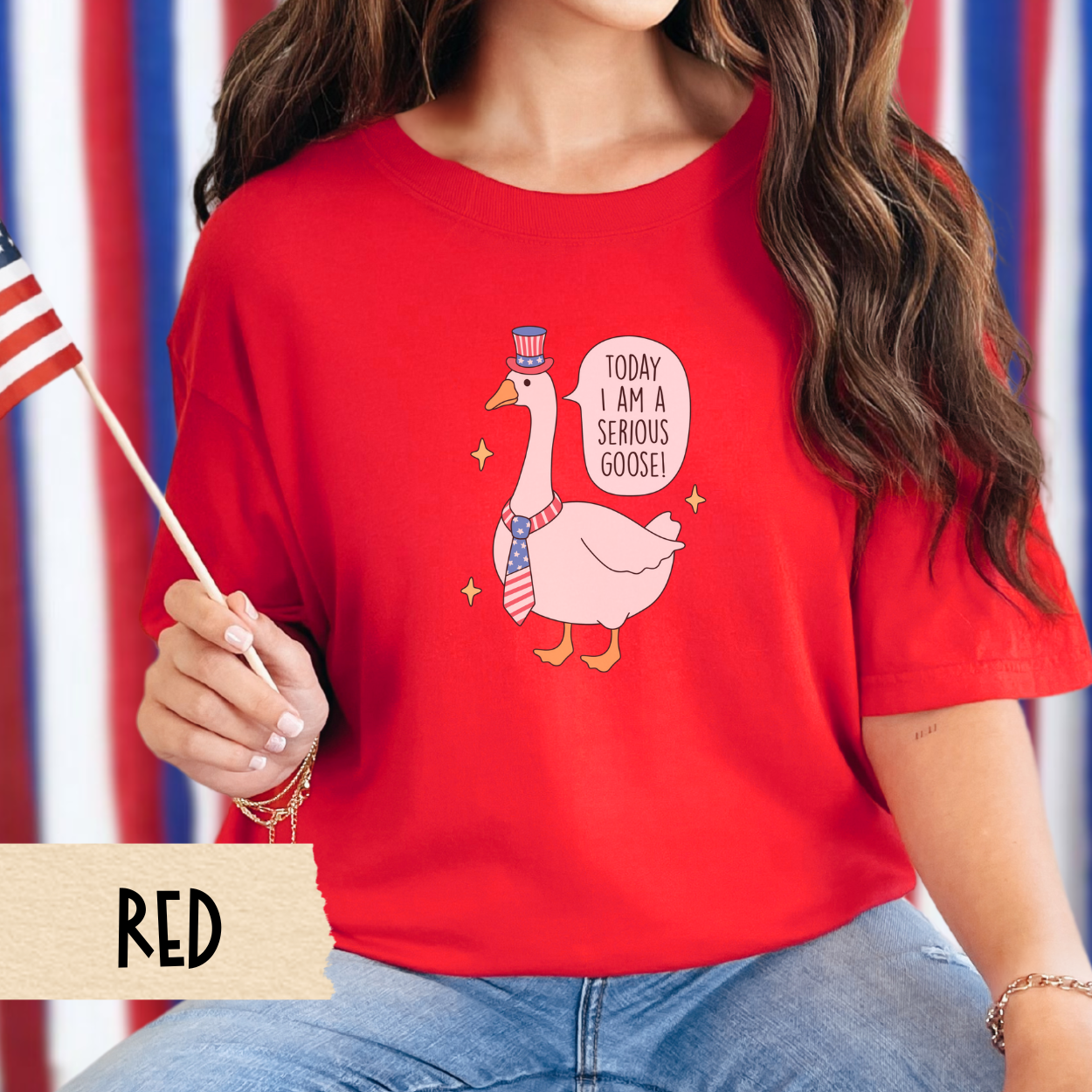 Serious goose shirt, funny 4th of July tee, patriotic goose shirt, comfort colors shirt, quirky USA shirt, red white blue outfit, July 4