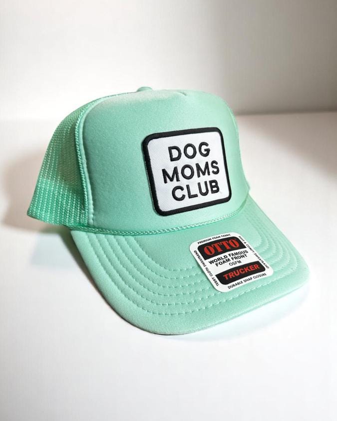 Dog Moms Club Trucker Hat, Foam Snapback, Embroidered Patch Cap for Dog Lovers, Cute Pet Mom Gift, Otto Mesh Hat, Dog Owner