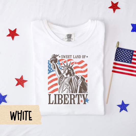 Fourth of July shirt, patriotic Comfort Colors tee, Statue of Liberty shirt, USA graphic tee, vintage 4th of July shirt, unisex holiday top