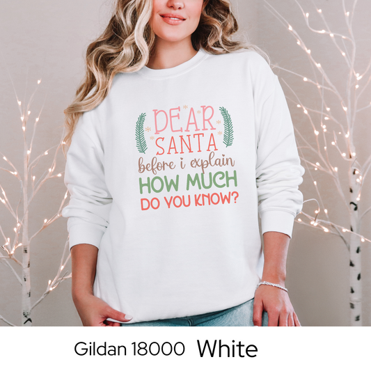 Funny Christmas Sweatshirt, Dear Santa Holiday Crewneck, Cozy Gildan 18000 Pullover, Christmas Humor Sweater, Gift Idea for Women